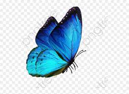 We did not find results for: Transparent Background Blue Butterfly Png Png Download Vhv
