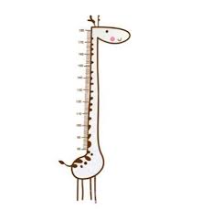 Amazon Com Homefind Giraffe Measuring Charts Animal Growth