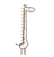 amazon com homefind giraffe measuring charts animal growth