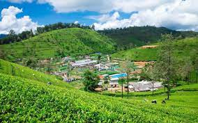 Kerela A Walk Through The Land Of Cardamom Coffee And Kathakali Nature Backgrounds Man Made Island Boat Restaurant