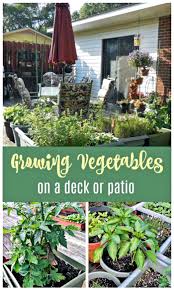 Vegetable Garden On A Deck Tips For Growing Vegetables On A Patio In 2020 Growing Vegetables Container Gardening Vegetables Vegetable Garden For Beginners