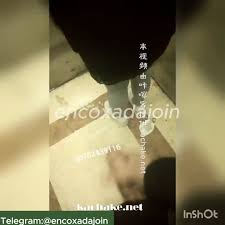 情色小说论坛-【小说】神雕离影