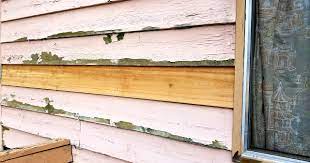 We did not find results for: Asbestos Siding Removal Cost Native Environmental Llc