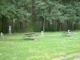 Barton Park Campground Near Portland Oregon Park Oregon Washington Oregon