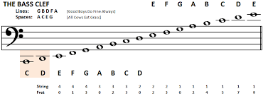 In qt in div in div in ne in a in vt. What Is Bass Clef Notes Get Education