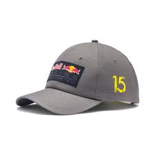 We did not find results for: Puma Red Bull Racing Cap Pasteurinstituteindia Com