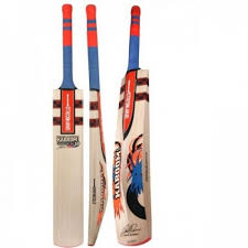 Pin On Gray Nicolls Cricket Bat