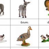 Epingle Sur Na Dvore Farme