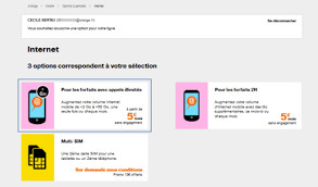 Suivi Conso Consulter La Consommation De L Offre 4g Home Flybox Assistance Orange