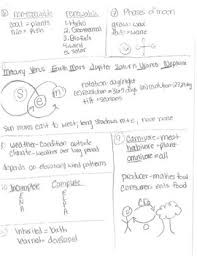 staar reference sheet worksheets teaching resources tpt