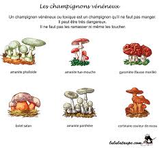 Epingle Sur Sciences 03 Botanique