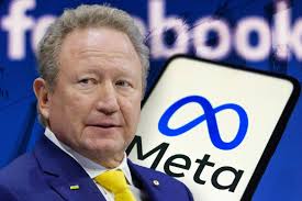 Facebook: Billionaire Twiggy Forrest lands a punch