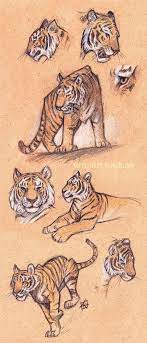 Pin On Dibujar Arte