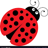 How to store your ladybug larvae. Https Encrypted Tbn0 Gstatic Com Images Q Tbn And9gcsz Pavkumibxemkjkvissnh79wh2u3lodu0hvk8smhgoxwhe5m Usqp Cau