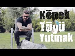 Kedi Ve Kopeklerde Tuy Dokulmesine Kesin Cozum Mutlaka Izleyin Youtube