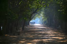 And For The Pleasant Morning Light Country Roads Morning Light Pleasant