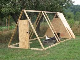 Because chickens need room to roam and stretch their wings while still feeling safe, trixie's chicken coop with a view is ideal for these lively companions. 15 Creative Modern A Frame Chicken Coop Designs
