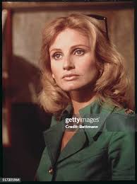 58,616 Jill Of All Trades Photos & High Res Pictures