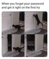 Hacker Voice I M In Memes