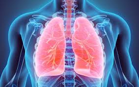 Étymologiquement, la pneumopathie signifie maladie du poumon. Pneumonie Pneumopathie Maladie Inflammatoire Des Poumons