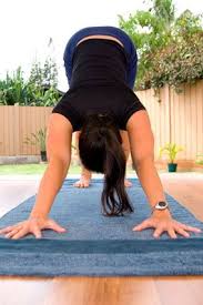 The 6 Essential Exercises Everyone Should Know How To Do Downward Dog Yoga Pose Downward Dog Yoga Basic Yoga Poses