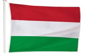 Ja, ook deze vlag bestaat en behoort tot een europees land. Vlag Hongarije Kopen Online Uw Hongaarse Vlag Bestellen Vlaggen Unie