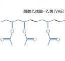 VINNAPAS VAE Dispersions: High-Performance Solutions-www ...