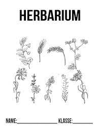 It is available in various mixed colors. Herbarium Deckblatt Pinterest