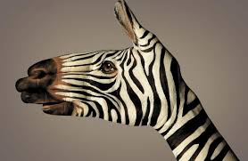 Image result for arte concettuale