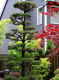 Landscaping Ideas Landscape Design Pictures Sherwood Modern Garden Landscaping Backyard Trees Landscape Design