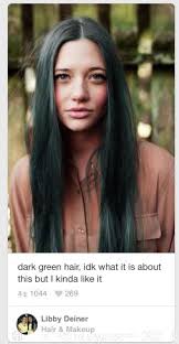 We already explained your how to dye your hair purple without bleach, today we are going to focus on blue. Best Way To Dye Brown Hair Dark Green Forums Haircrazy Com