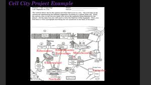Evolutionary embryology is the expansion of comparative embryology by the ideas of charles darwin.similarly to karl ernst von baer's principles that explained why many species often appear similar to one another in early developmental stages, darwin argued that the relationship between groups can be determined based upon common embryonic and larval structures. Cell City Project Assignment Ppt Video Online Download