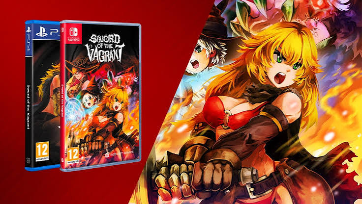 Sword of the Vagrant getting a physical release on Switch