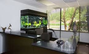 Aquarium And Room Design Love The Windows As Well Repined By Http Www Withinreach Biz Aquarium Design Aquarien Aquarium