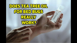 Also, tea tree oil does not have a residual or long lasting killing effect when applied, making it a poor choice as a bed bug insecticide. Does Tea Tree Oil For Bed Bugs Really Work Youtube