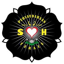 But, can you add some more guns with some cool animations because i can't. Lambang Psht Terbaru 2019 Rahman Gambar