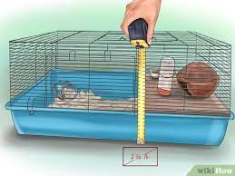 The location needs to have exposure to natural sunlight, night and day cycles, air movement, and temperature control. How To Set Up A Hamster Cage 15 Steps With Pictures Wikihow