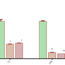 Image result for Maerua edulis