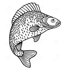 Maybe you would like to learn more about one of these? Informasi Belajar Anak Interaktif Download Mewarnai Gambar Ikan