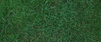 The gardening zones in zone 9 are zone 9a and 9b. Understanding A Heat Zone Map For Gardening In Chicago Lawnstarter