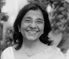 Exploring Project Feasibilities with Professional Experts