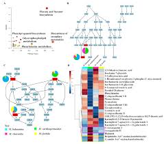 Image result for Momordica cardiospermoides