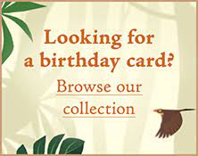Birthdaybuzz.org.visit this site for details: Greeting Cards Animated Ecards Jacquie Lawson Cards