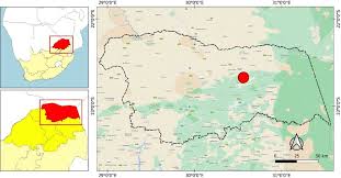 Image result for Brackenridgea