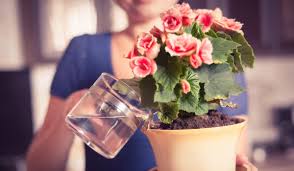 Posts in category home & garden. Flower Gardening For Beginners Housing News