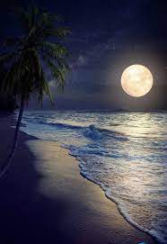 Check spelling or type a new query. Butterfly Spirit Beautiful Nature Beautiful Moon Nature Photography