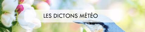 Trés vite, il m'est apparu q. Les Dictons Meteo Meteo Contact