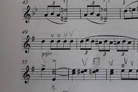 Measures or bar mean in music terms mean the same thing. What Does Gajo Mean As A Musical Directive On Sheet Music Music Practice Theory Stack Exchange
