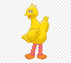 You can learn more about this in our help section. Ernie Face Png Sesame Street Big Bird Clipart Transparent Png 4674771 Pikpng