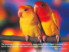 Pictures of 2 parrots talking like humans do download <?=substr(md5('https://encrypted-tbn0.gstatic.com/images?q=tbn:ANd9GcTrIboWpNvmqv41ryhOoBZ4t4IloUcQbaF2-hIHr30Qu9xBmKefla0MKpgX'), 0, 7); ?>
